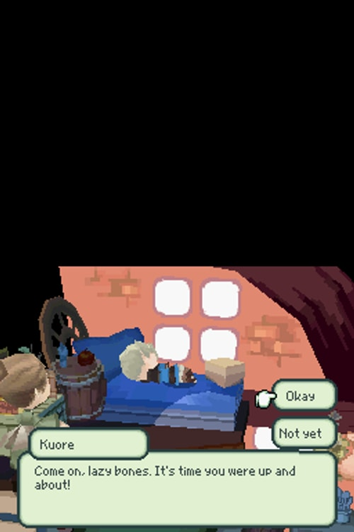 Final Fantasy: The 4 Heroes of Light - Nintendo DS