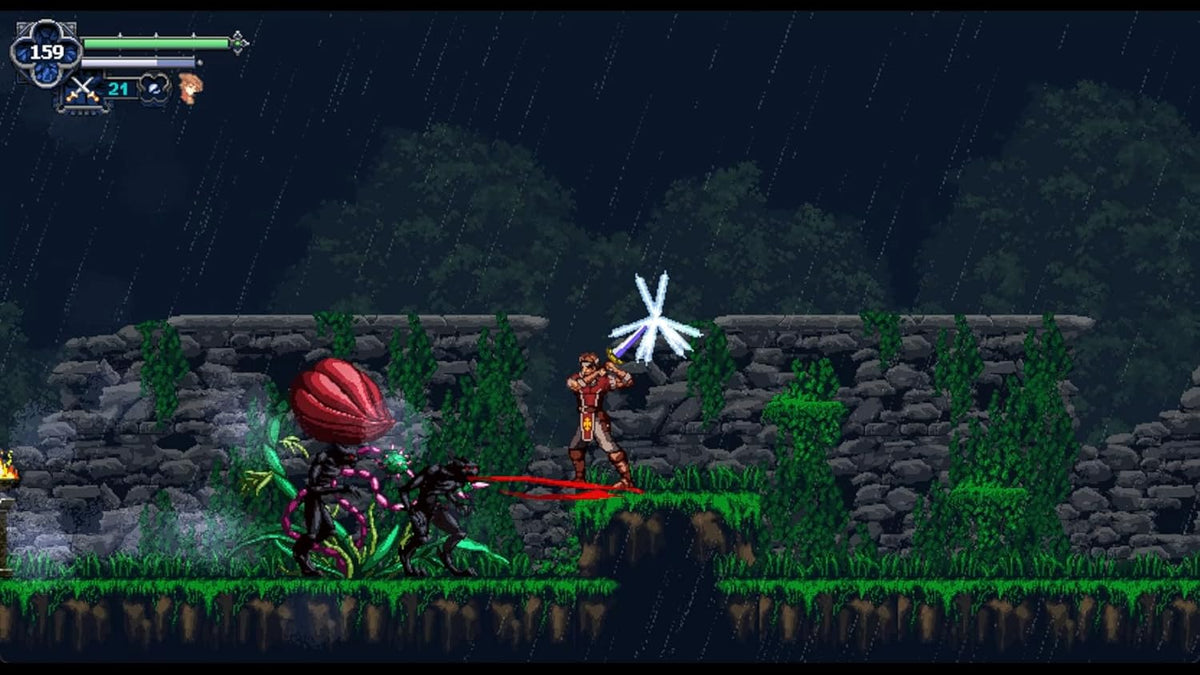 Chronicles Of The Wolf - Nintendo Switch - Retro Island Gaming