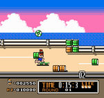 Town & Country Surf Designs: Wood and Water Rage - NES - Retro Island Gaming