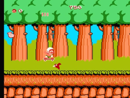 Adventure Island - NES - Retro Island Gaming