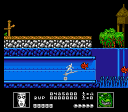 Silver Surfer - NES