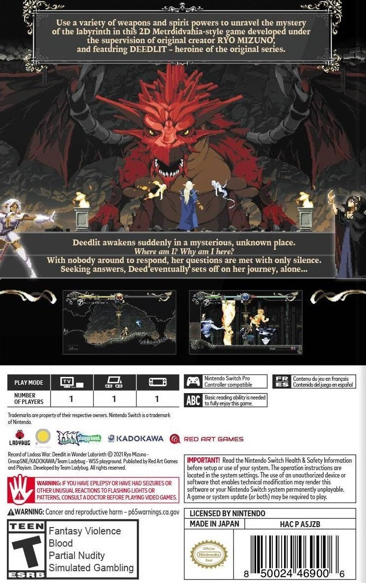 Record of Lodoss War: Deedlit in Wonder Labyrinth - Nintendo Switch