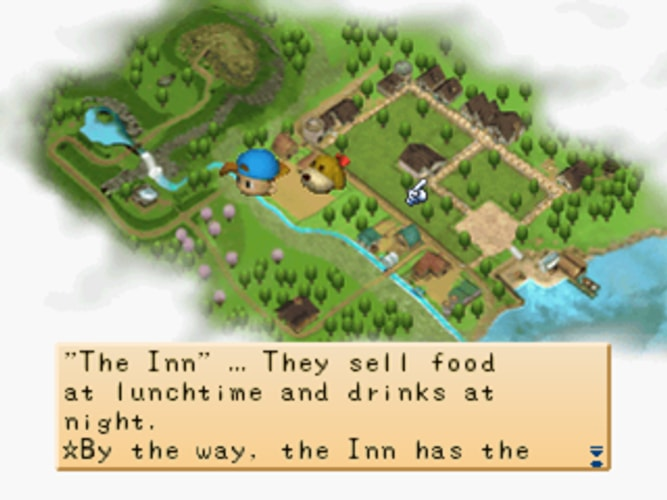 Harvest Moon Back to Nature - Playstation