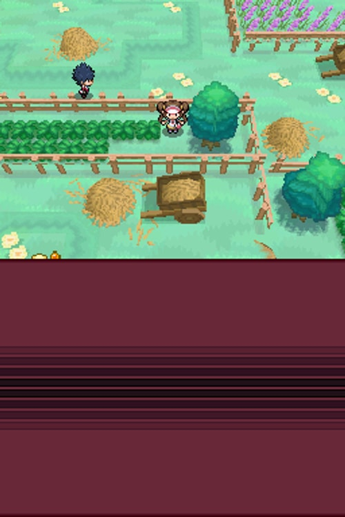 Pokemon White Version 2 - Nintendo DS
