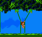 Tarzan - GameBoy Color
