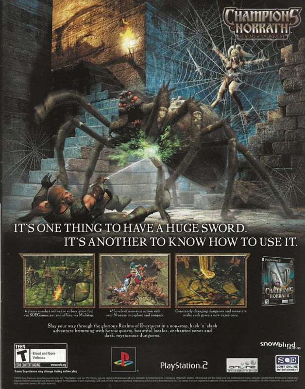 Campeones de Norrath - Playstation 2