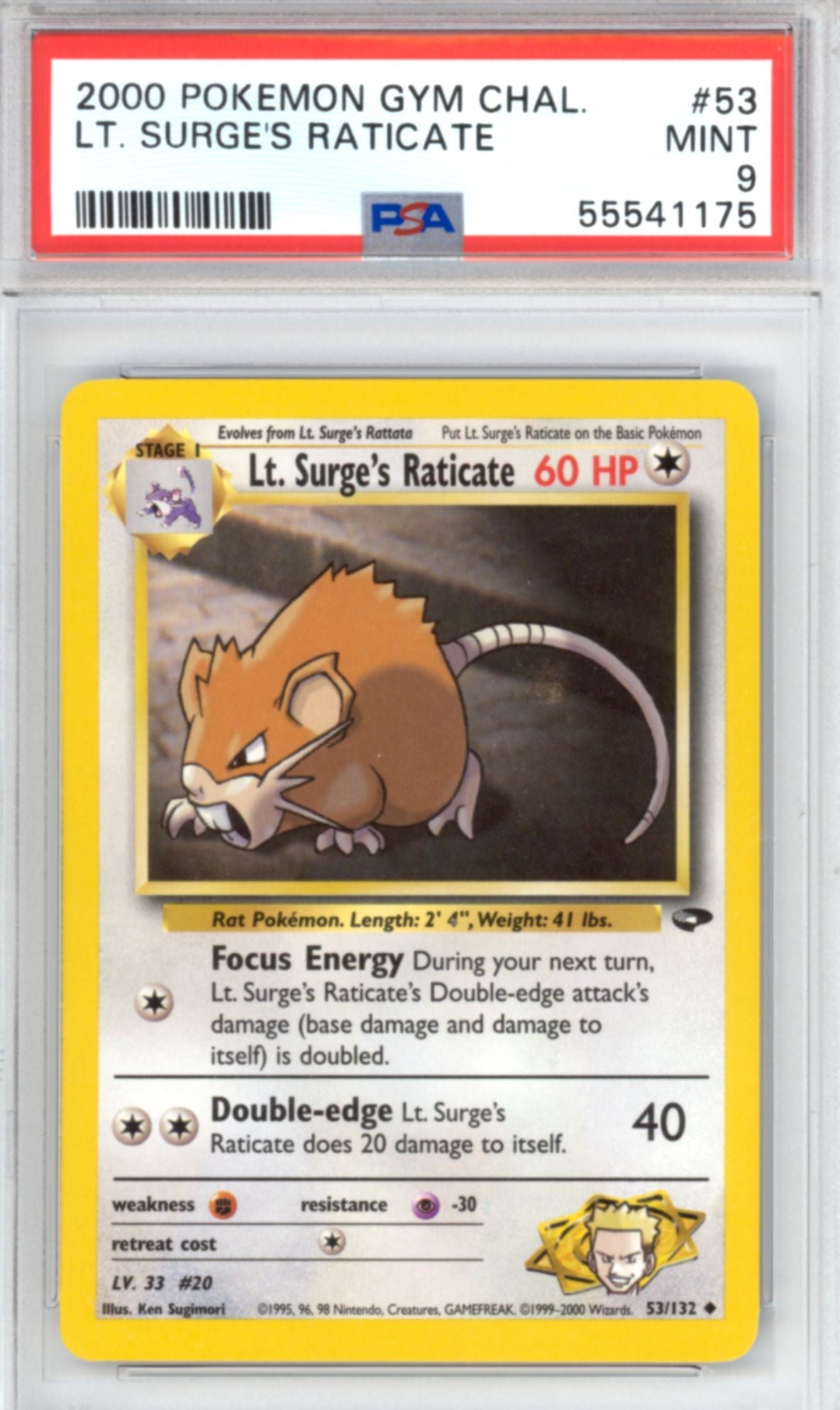 Lt. Surge's Raticate 
