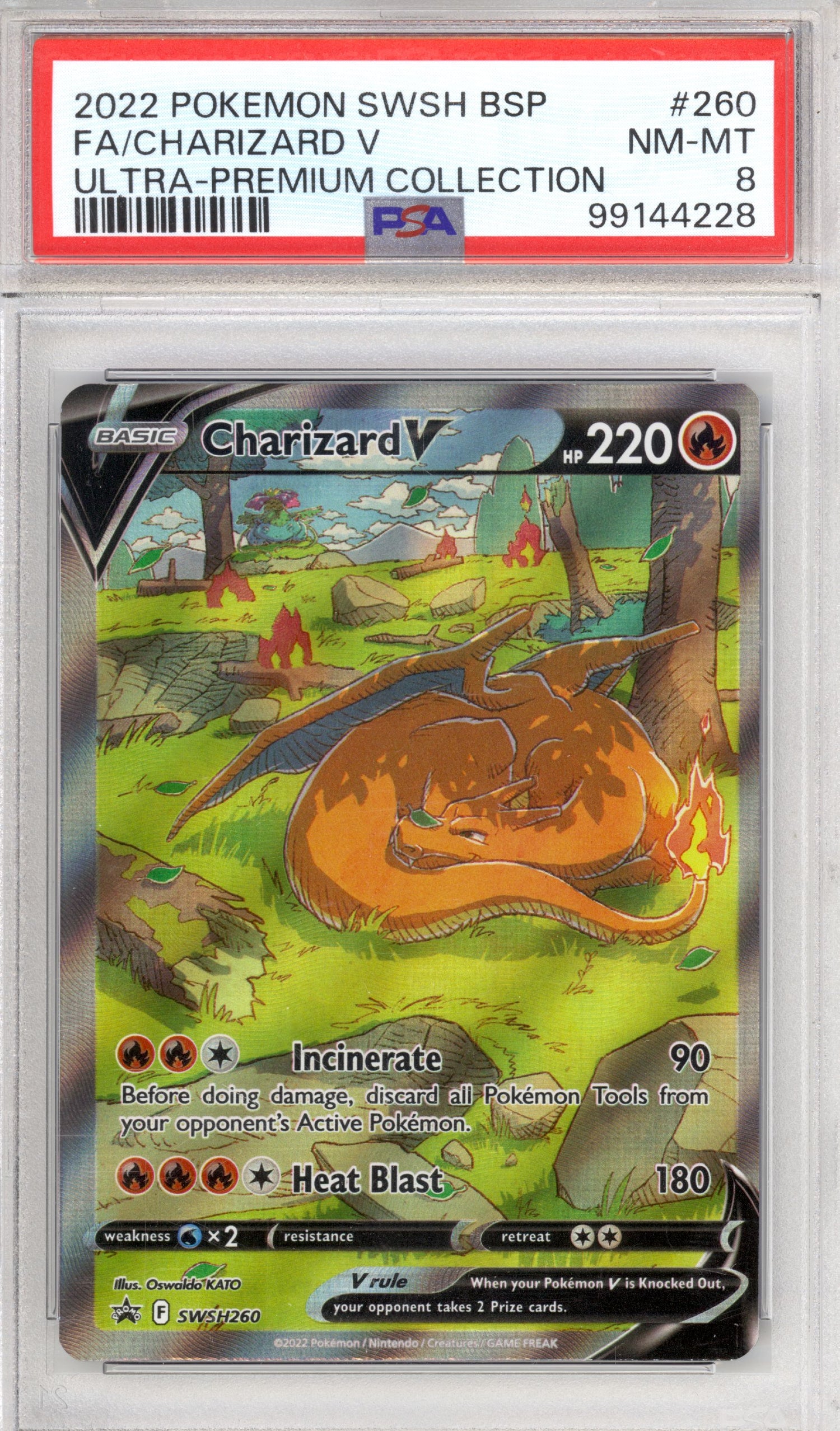 Charizard V 