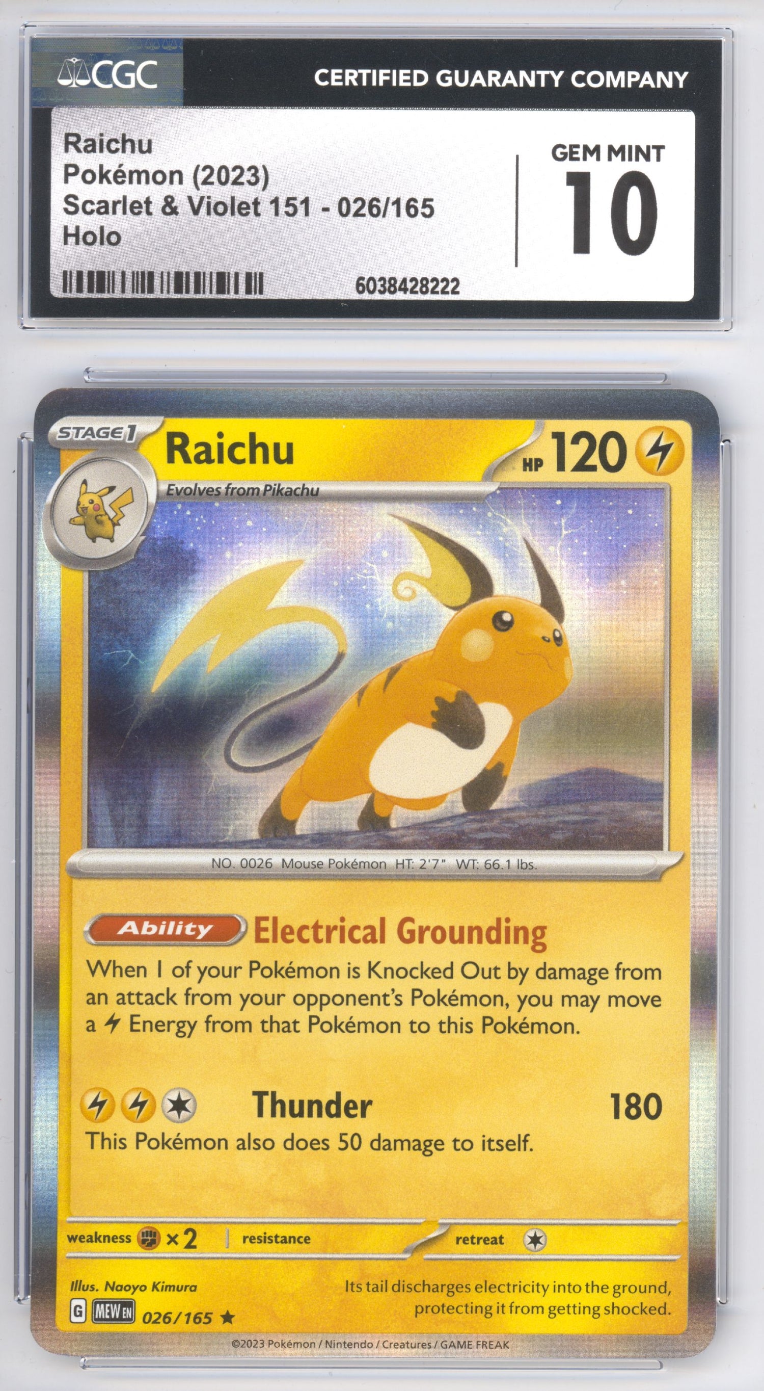 Raichu 