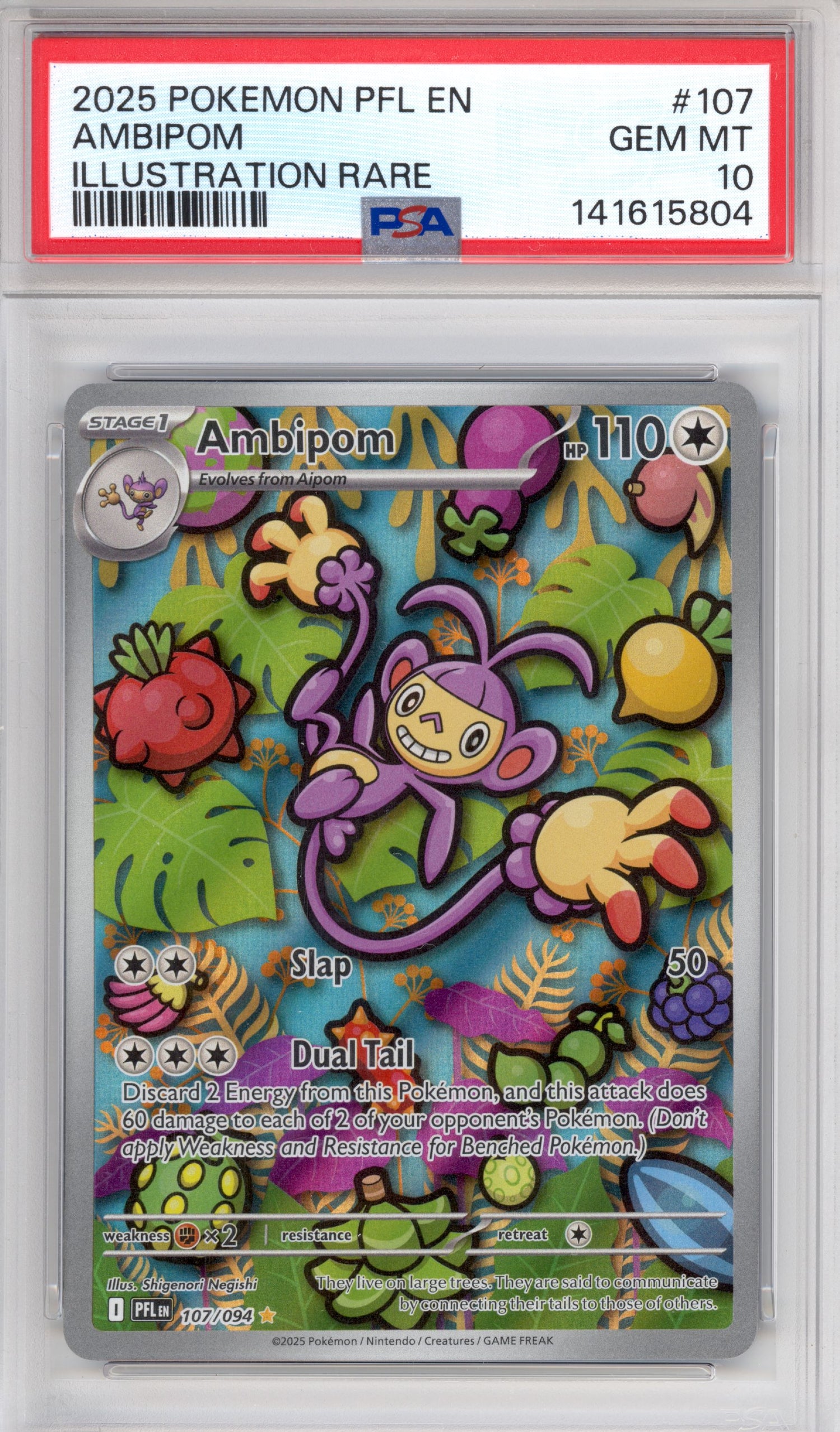 Ambipom 