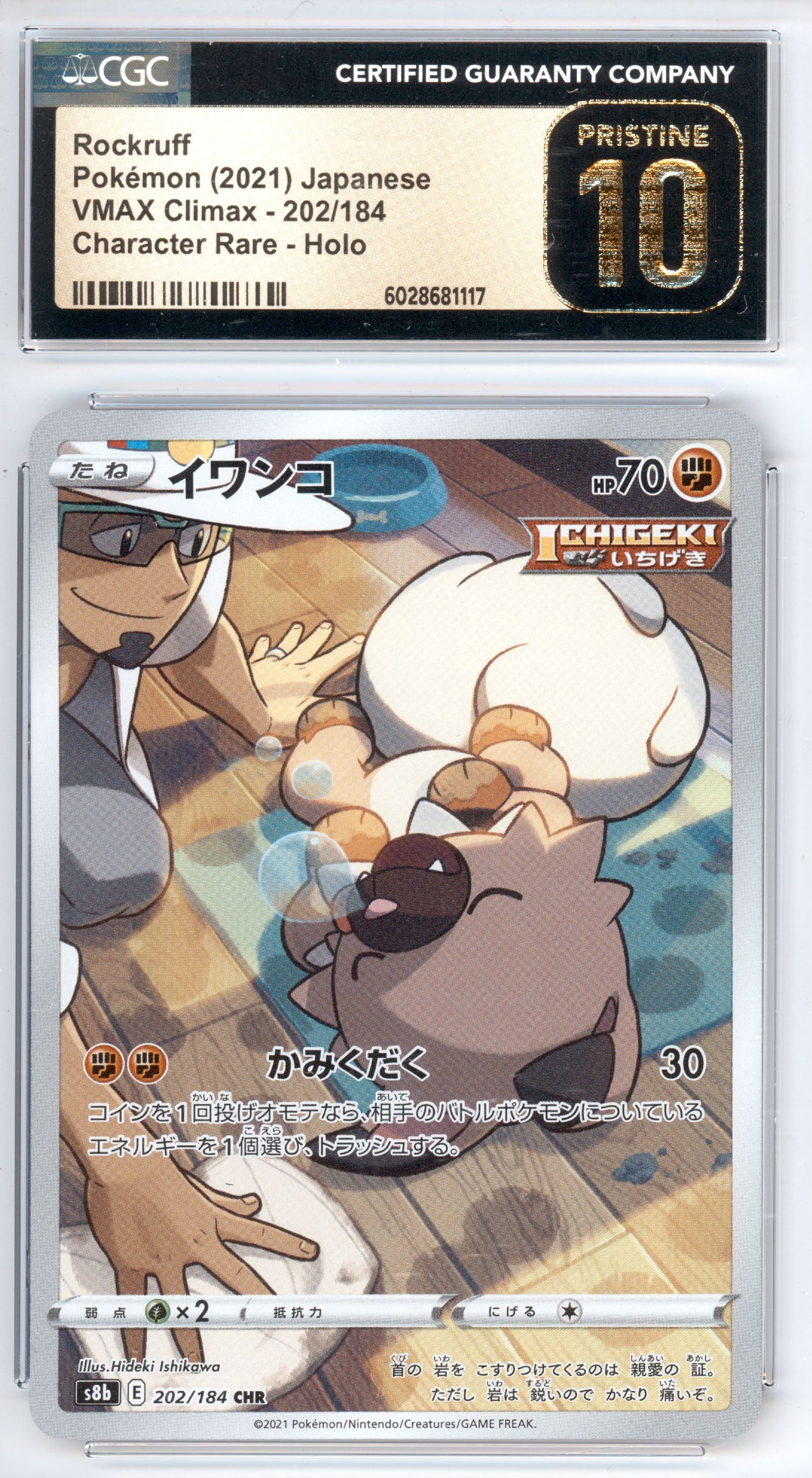 Rockruff 