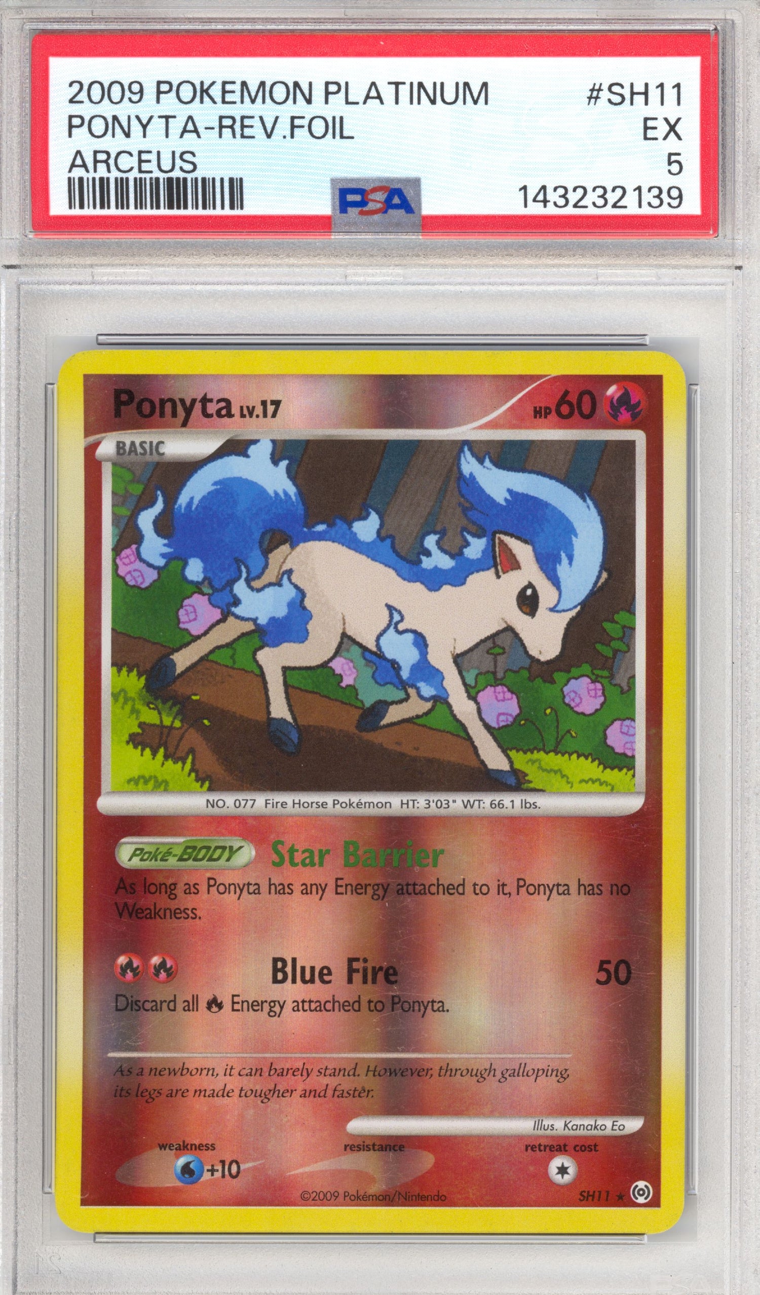 Ponyta 