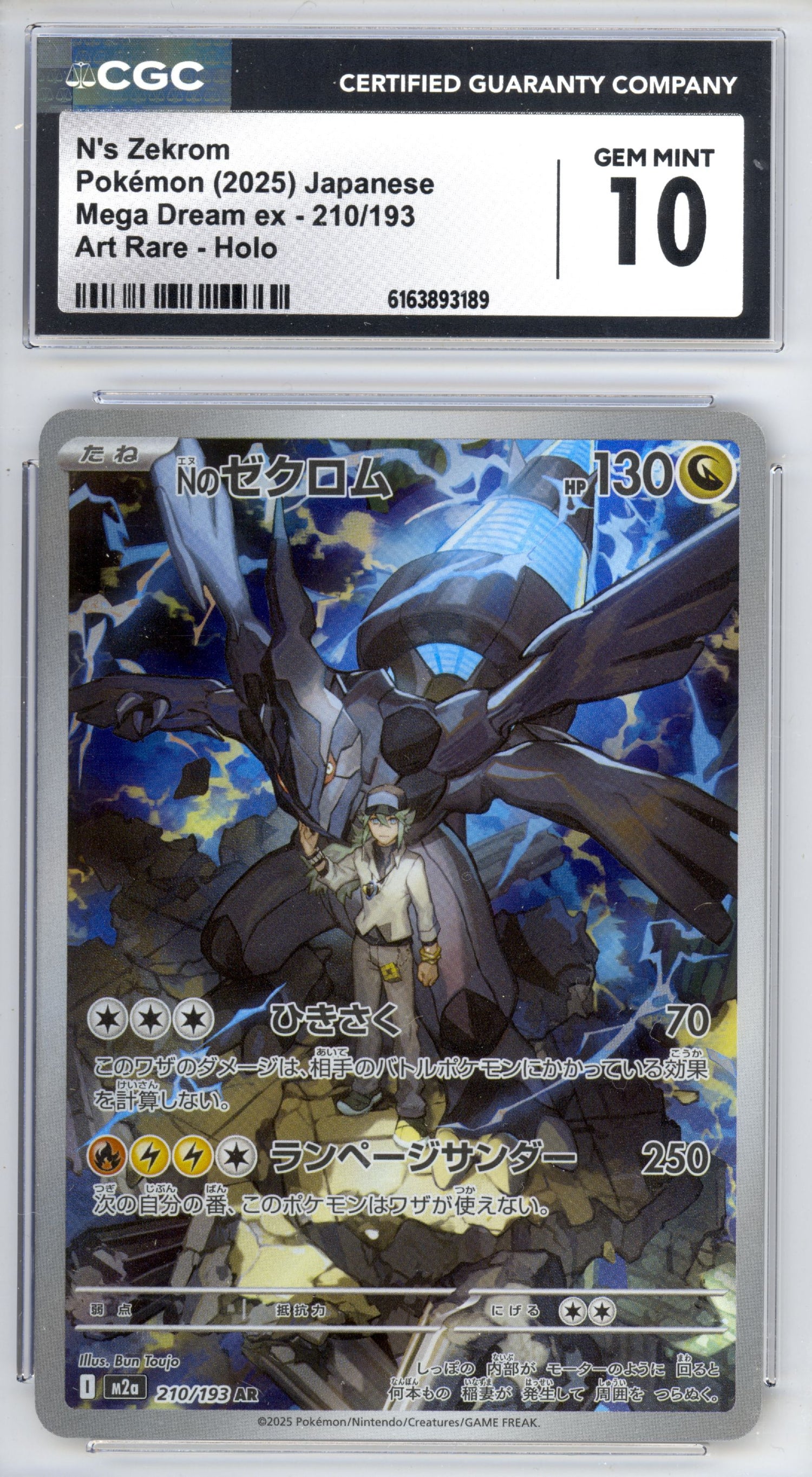 N's Zekrom 