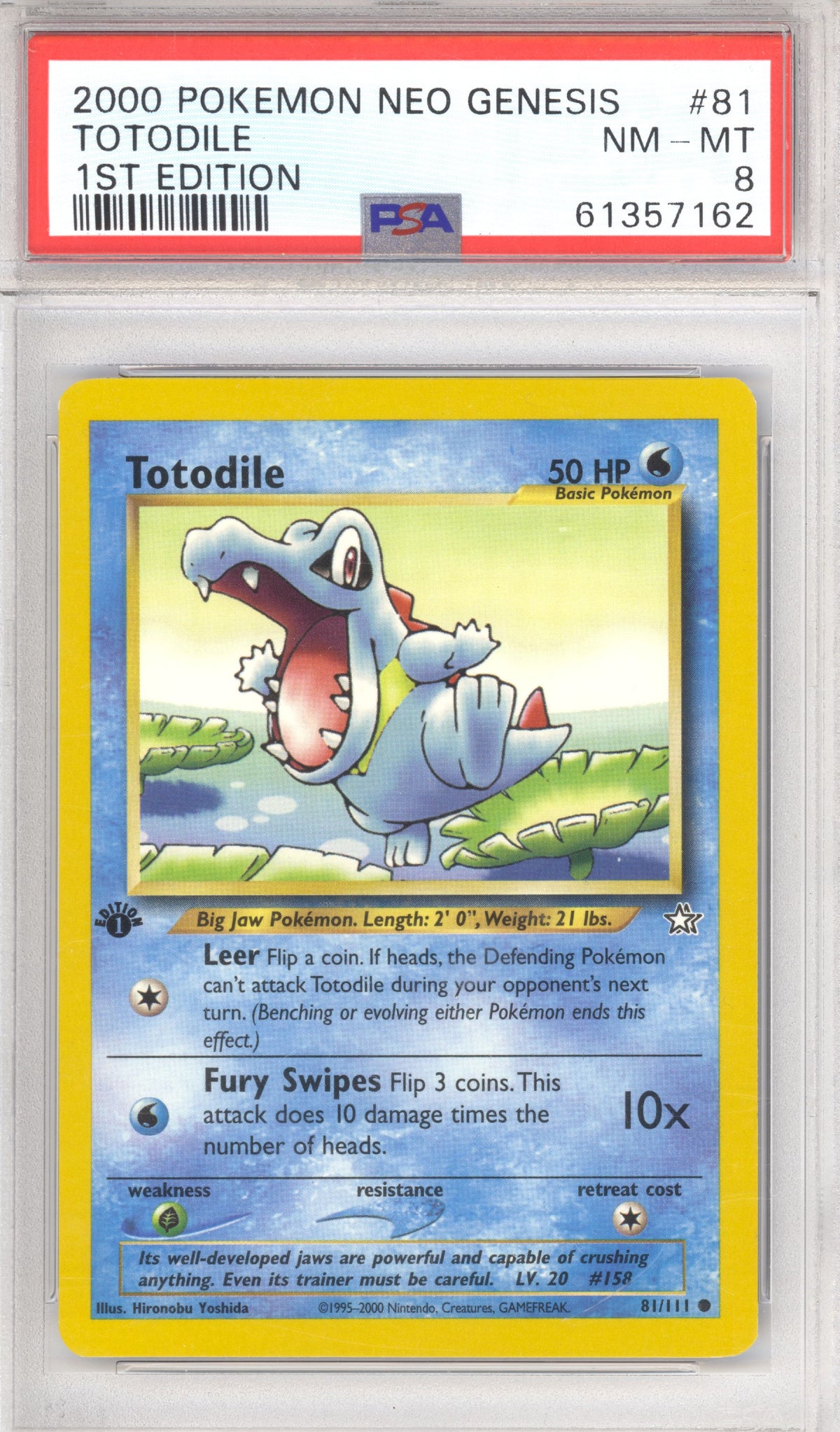 Totodile [1st Edition] #81 - Pokemon Neo Genesis
