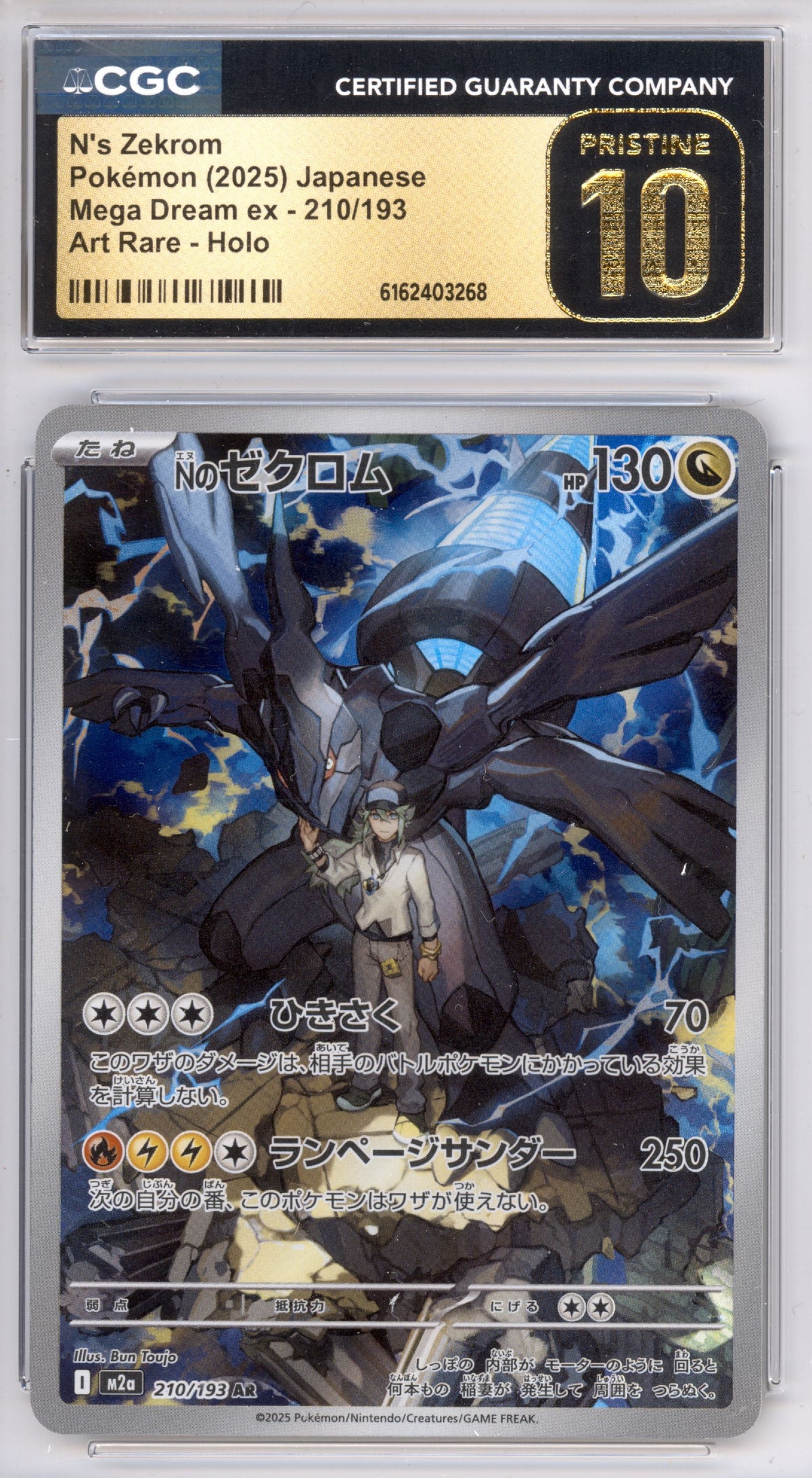 N's Zekrom 