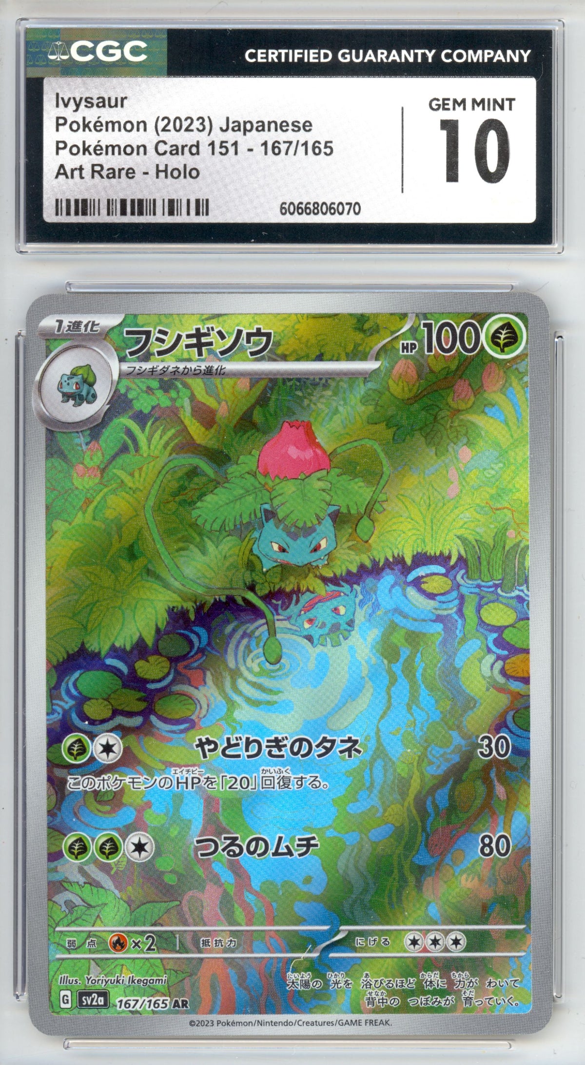 Ivysaur 