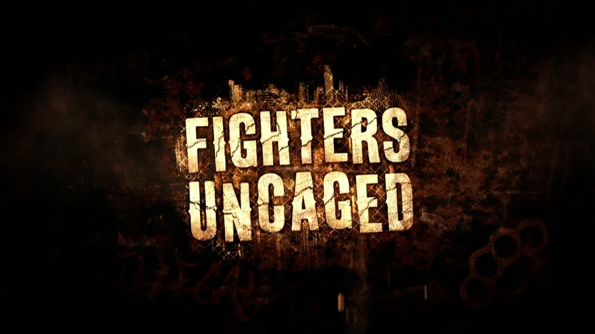 Fighters Uncaged - Xbox 360