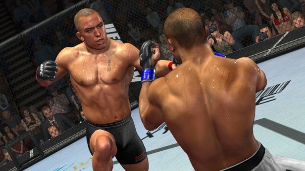 UFC 2009 Undisputed - Playstation 3