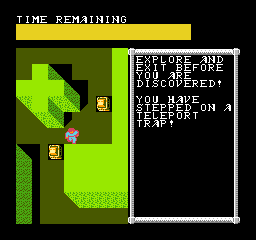 Advanced Dungeons & Dragons Hillsfar - NES - Retro Island Gaming