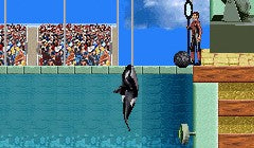Shamu's Deep Sea Adventures - GameBoy Advance - Retro Island Gaming