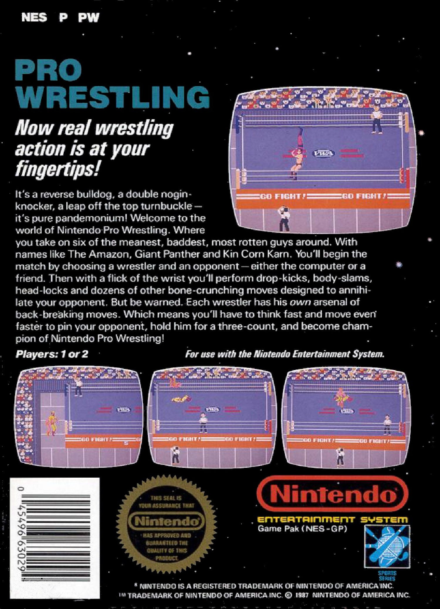 Pro Wrestling - NES