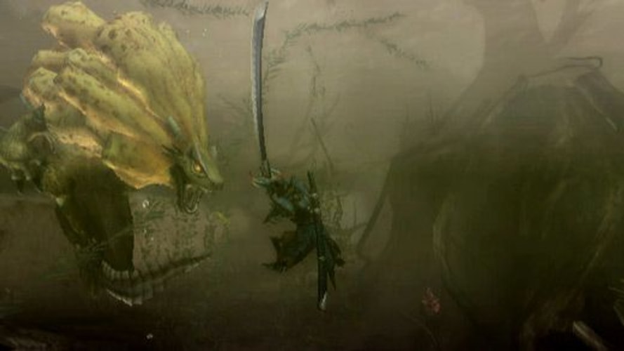 Monster Hunter 3 Tri - Wii