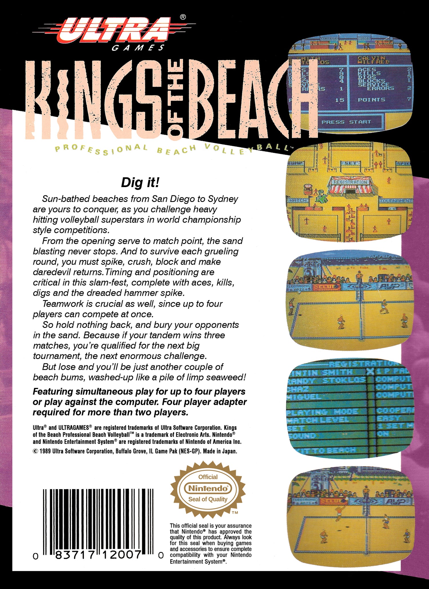 Kings of the Beach - NES
