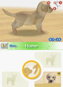 Nintendogs Best Friends - Nintendo DS