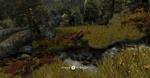 Cabela's North American Adventures - Wii