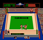 Tag Team Wrestling - NES - Retro Island Gaming