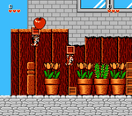 Chip and Dale Rescue Rangers - NES - Retro Island Gaming