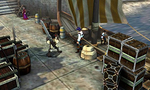 Héroes de la ruina - Nintendo 3DS