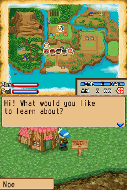 Harvest Moon Island of Happiness - Nintendo DS