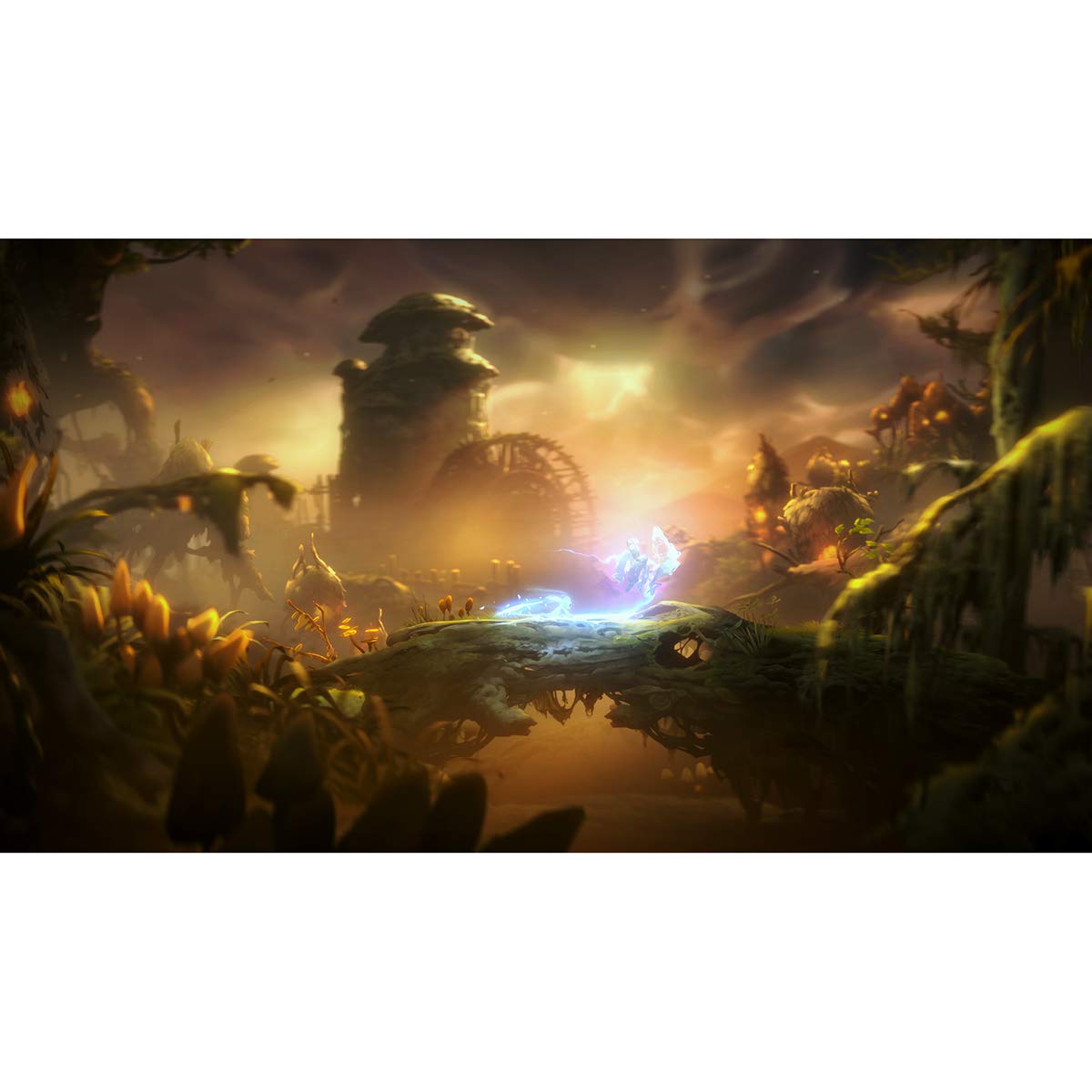 Ori and the Will of the Wisps [Collector's Edition] - Xbox One