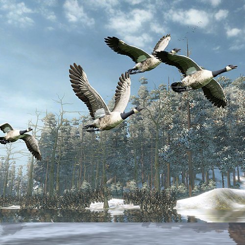 Cabela's Outdoor Adventures 2010 - Wii