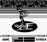 WWF Warzone - GameBoy