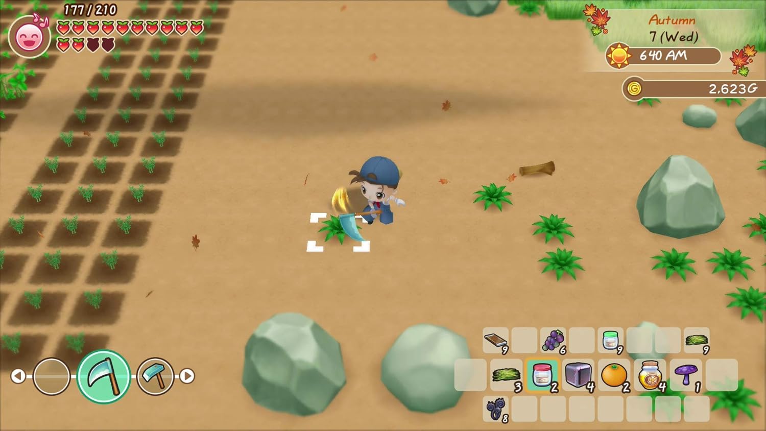 Story of Seasons: Friends of Mineral Town - Nintendo Switch