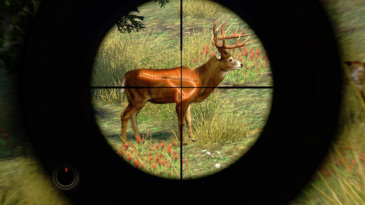 Cabela's Outdoor Adventures 2010 - Wii