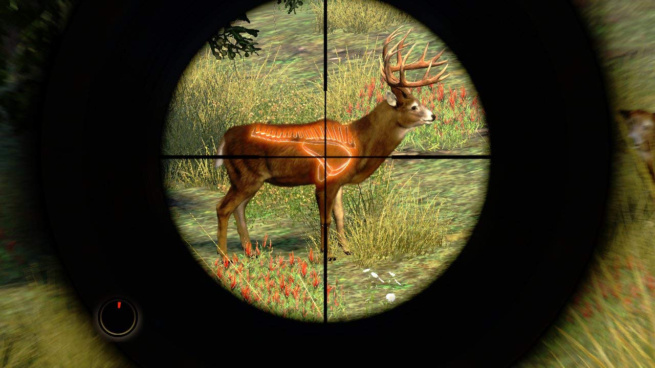 Cabela's Outdoor Adventures 2010 - Wii