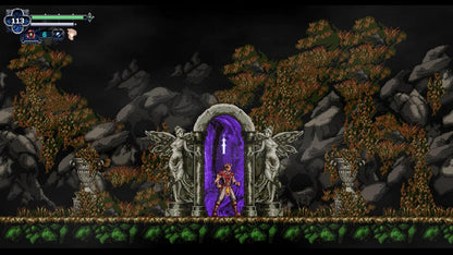 Chronicles Of The Wolf - Nintendo Switch - Retro Island Gaming