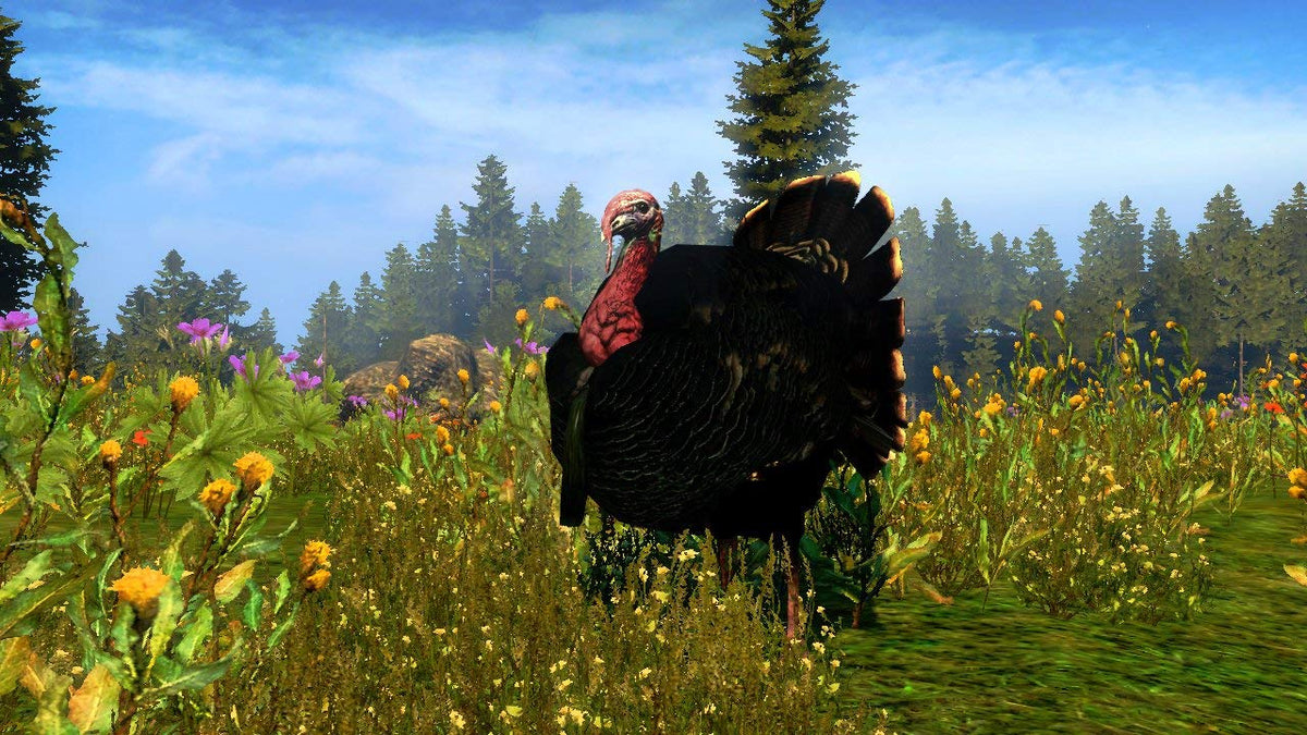 Cabela's Outdoor Adventures 2010 - Wii