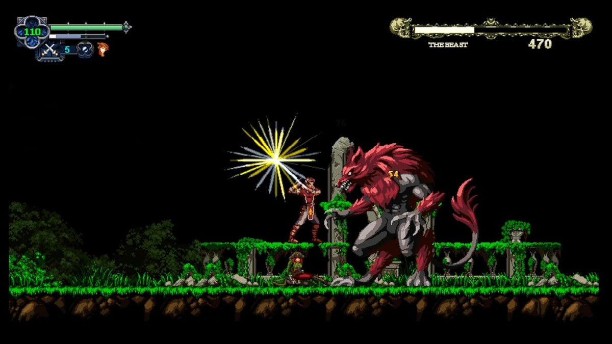Chronicles Of The Wolf - Nintendo Switch - Retro Island Gaming