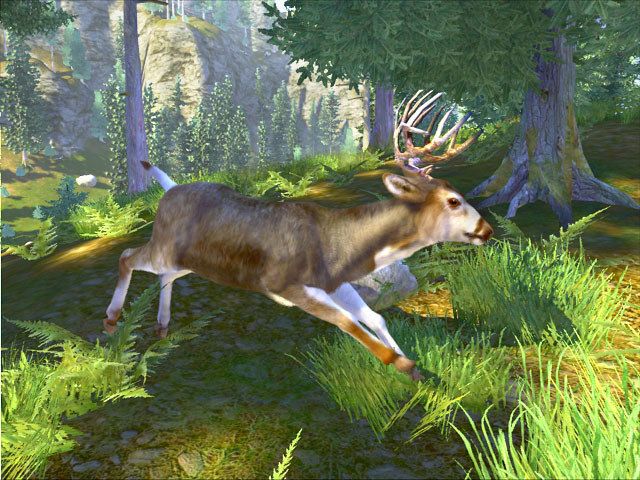 Cabela's Trophy Bucks - Playstation 2