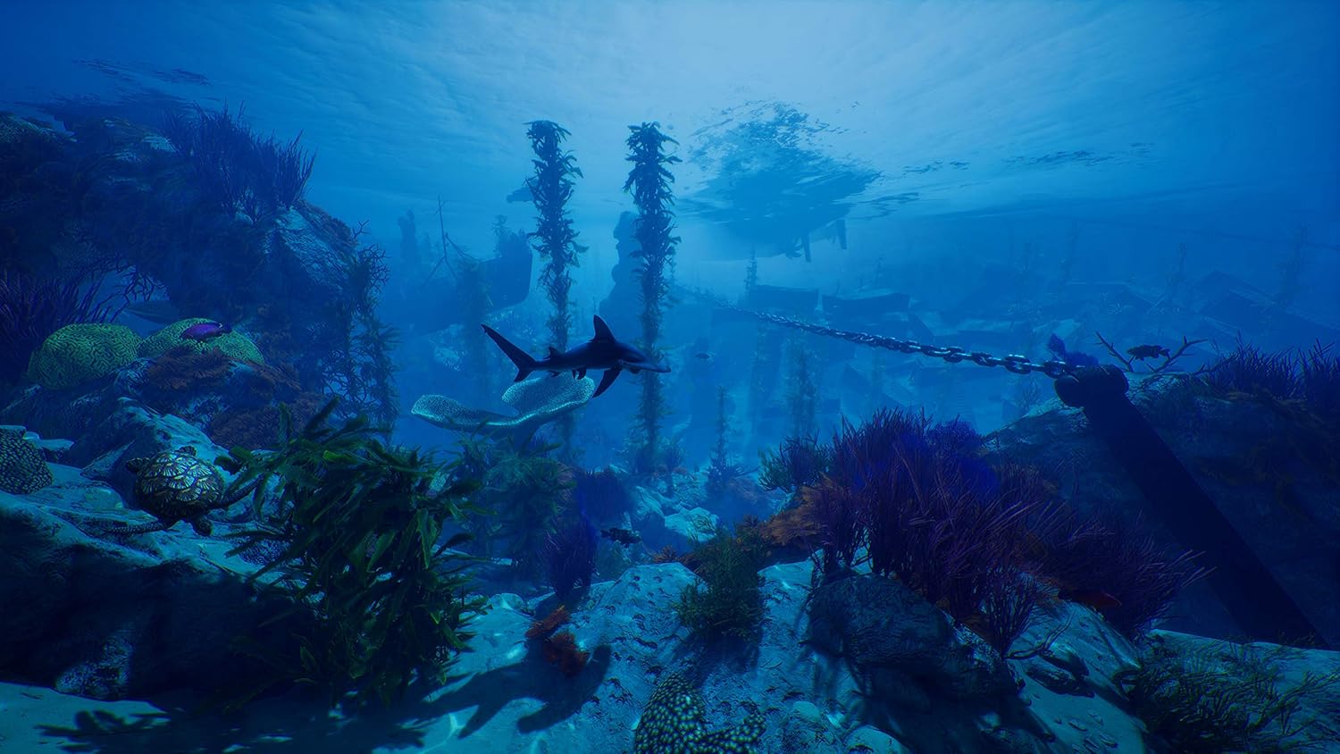 Maneater - Playstation 4