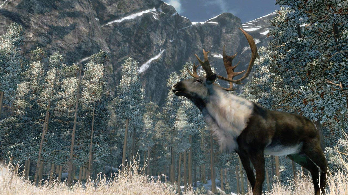 Cabela's Outdoor Adventures 2010 - Wii