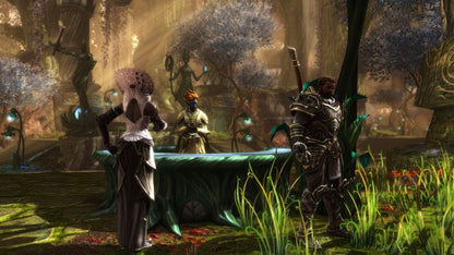 Kingdoms of Amalur: Re-Reckoning - Xbox One - Retro Island Gaming