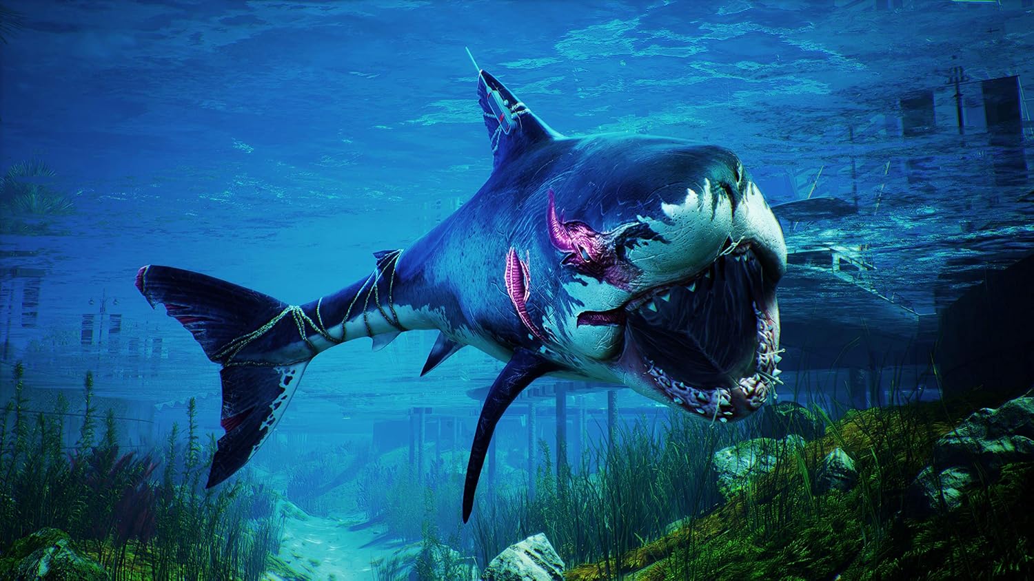 Maneater - Playstation 4