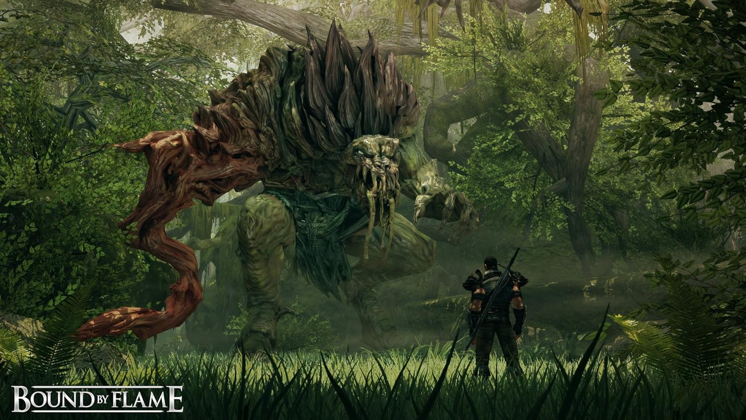 Bound by Flame - Playstation 4
