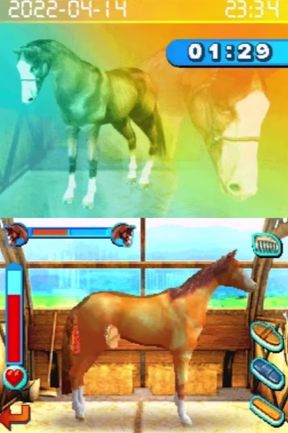 Horsez - Nintendo DS