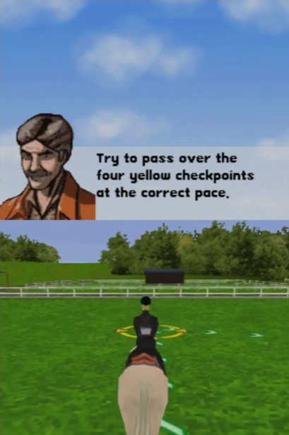 My Horse & Me: Riding for Gold - Nintendo DS